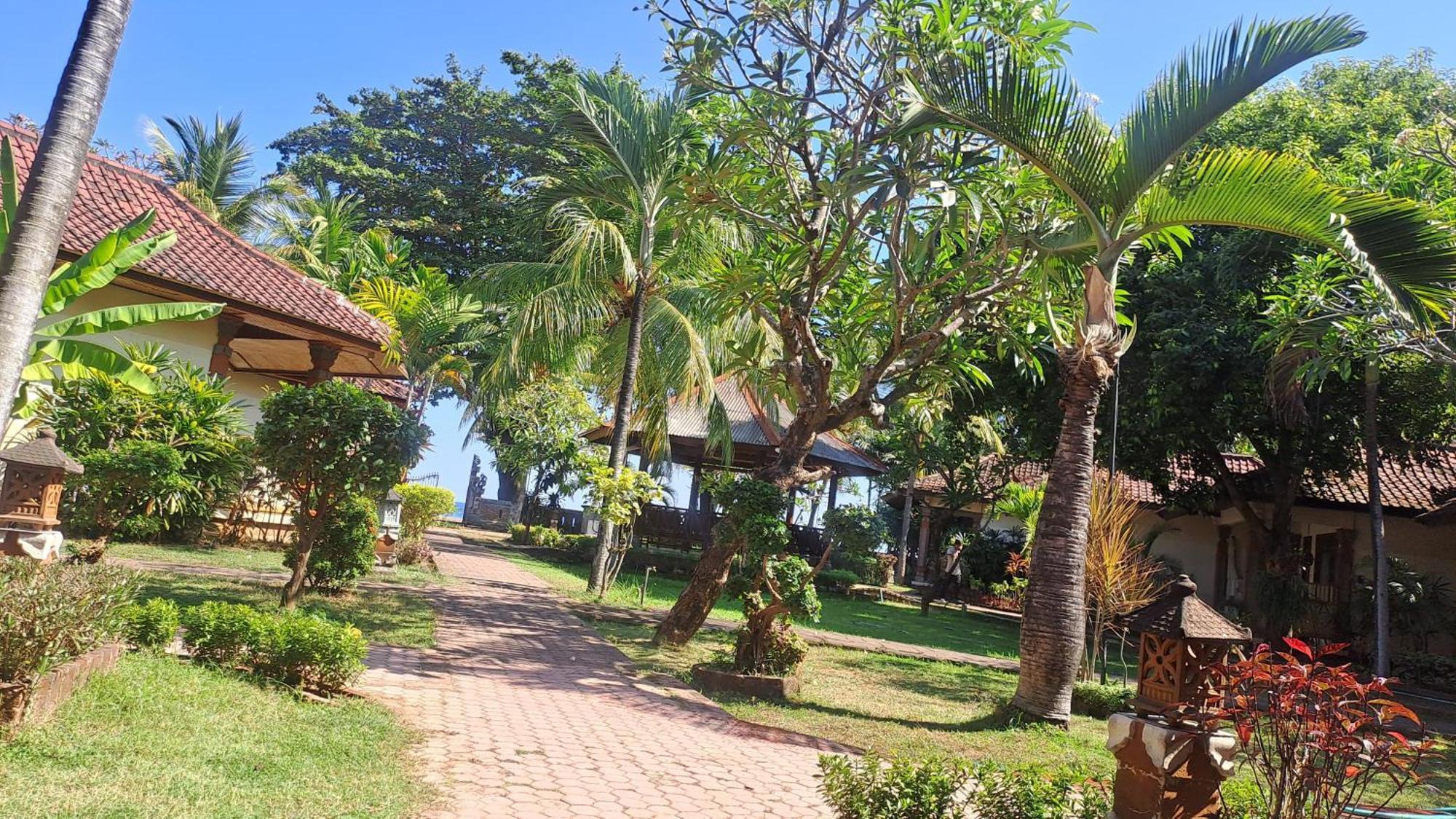 Lovina Beach Hotel Hotel 2*