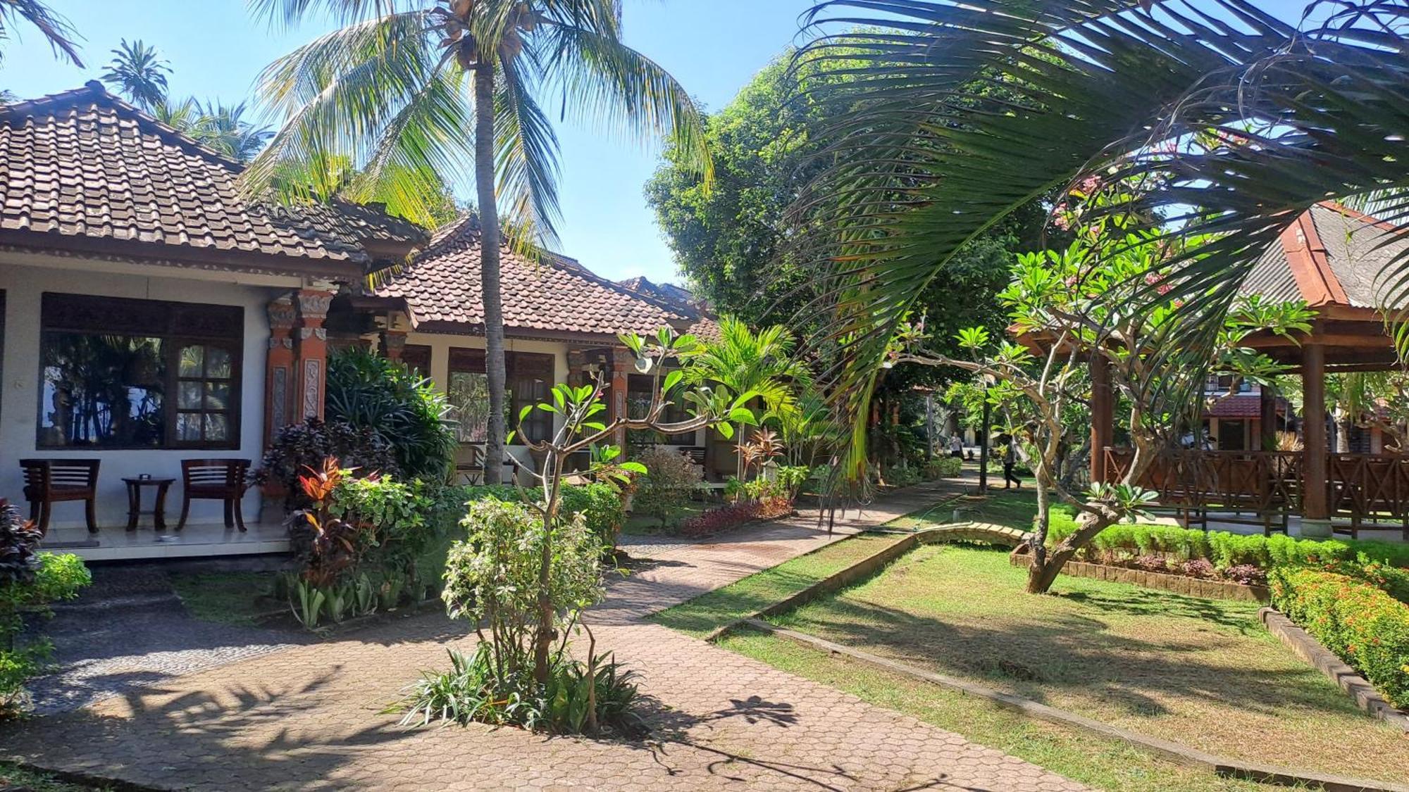 Lovina Beach Hotel 2*