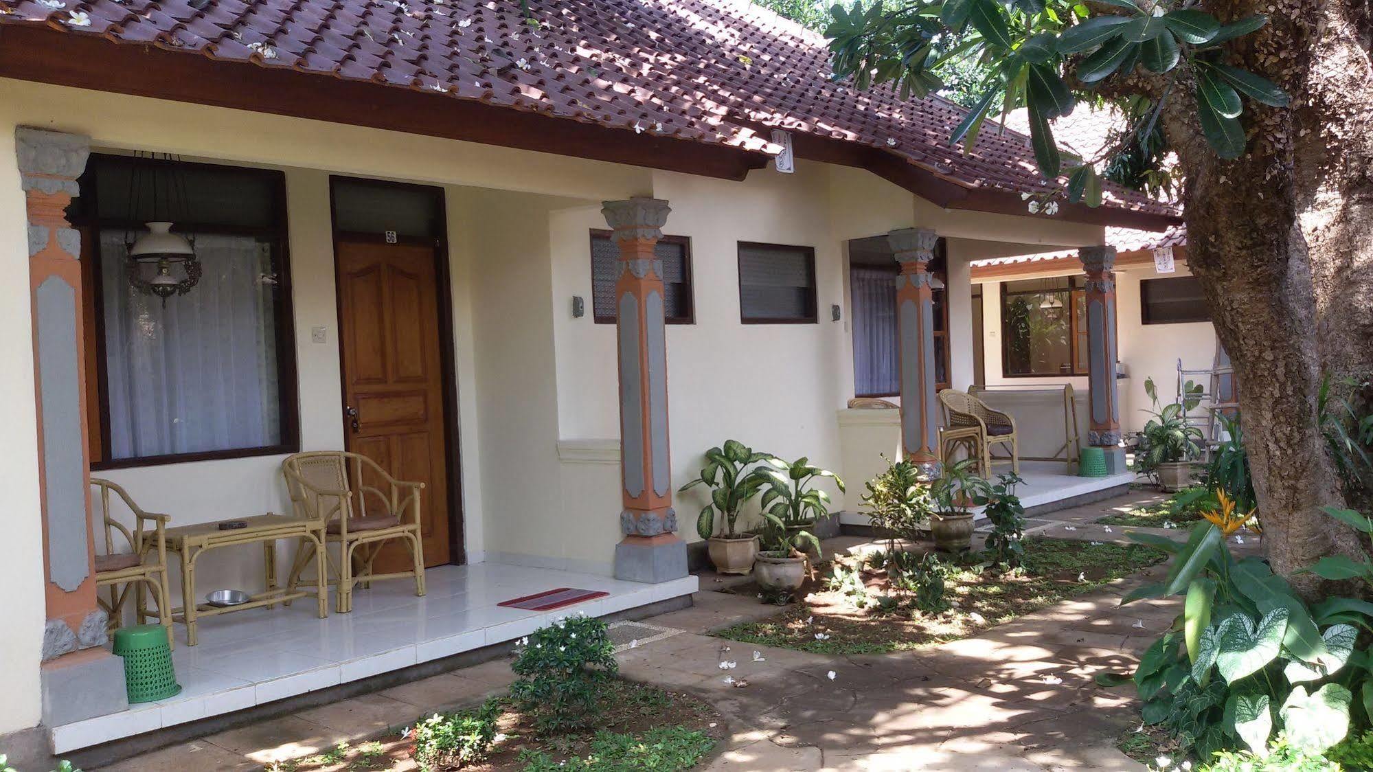 Lovina Beach Hotel Hotel