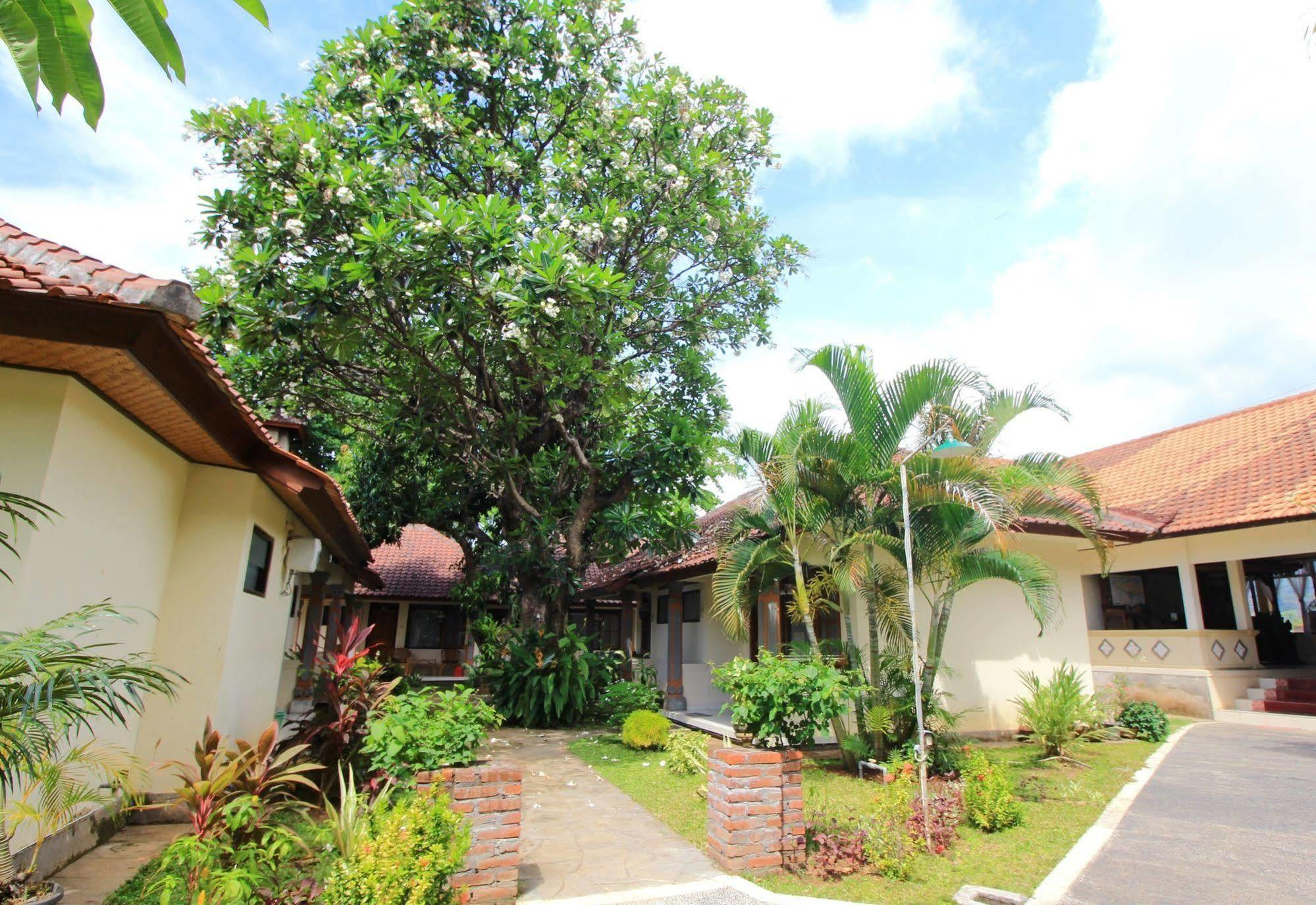Lovina Beach Hotel